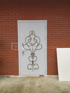 Металлическая дверь с порошковым напылением и ковкой в дом - фото