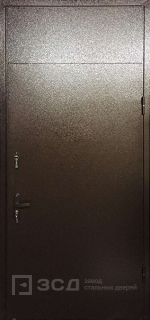 Фото «Дверь с фрамугой №1»